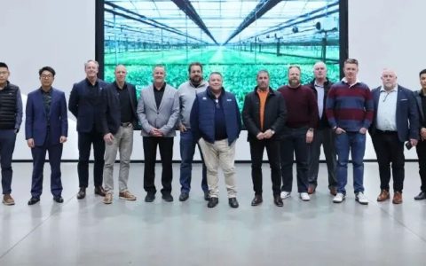 硬核实力叩响澳洲市场 东风进出口以 “可靠”车型深耕右舵蓝海