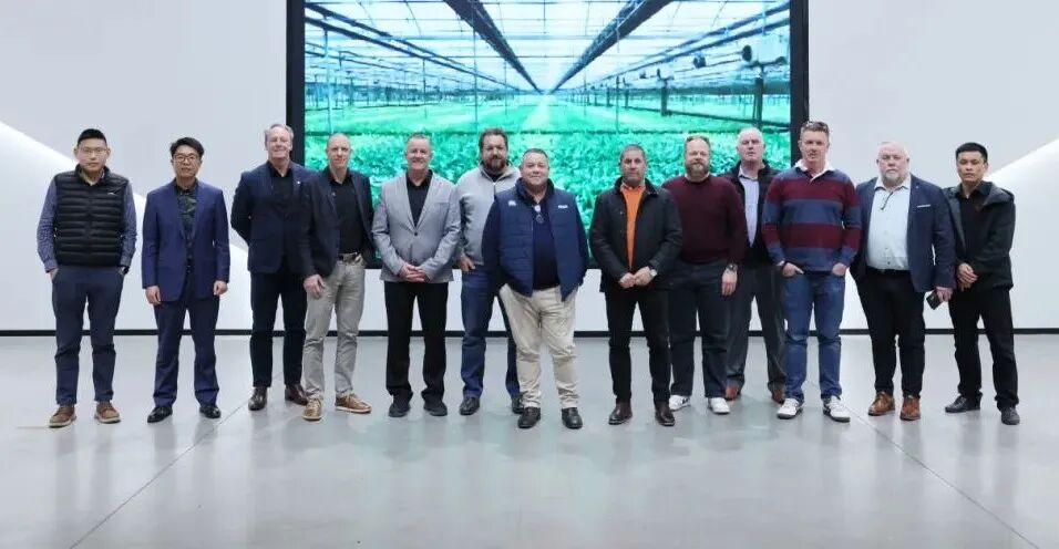 硬核实力叩响澳洲市场 东风进出口以 “可靠”车型深耕右舵蓝海