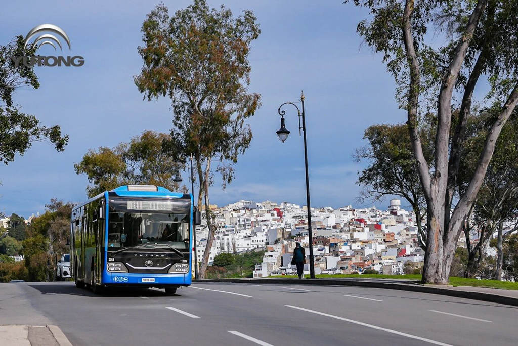 从赛事服务到城市动脉：723辆宇通客车成为摩洛哥流动风景线