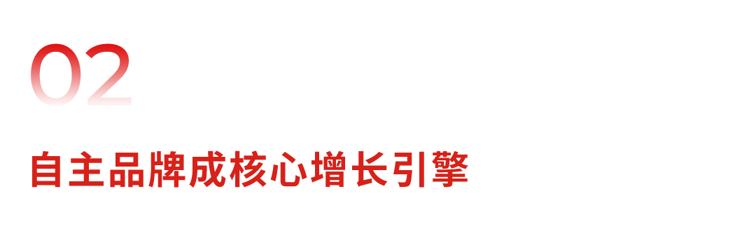 02 自主品牌核心增长引擎