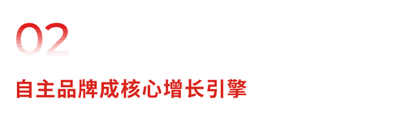 02 自主品牌核心增长引擎